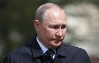 Peace researcher Deitelhoff: "Putin and Russia...