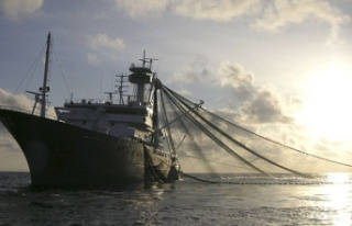 Four Basque tuna vessels denounce that they are trapped...