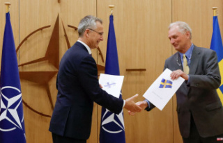 NATO: Sweden and Finland have submitted their membership...