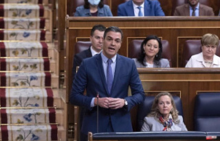 Pedro Sánchez, willing to meet with Pere Aragonès...