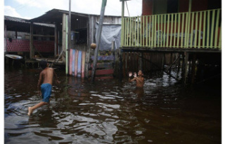 Weather severe. Brazil: At least 33 people have died...
