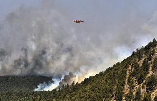 President declares disaster in New Mexico wildfire...