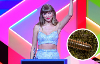 A millipede named Taylor Swift
