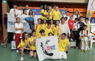 The ITAE Club of Albacete is proclaimed champion of...