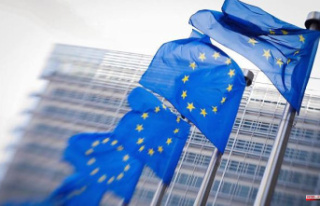 Brussels urges debt reduction despite fiscal suspension...
