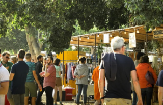 Palo Market Fest 2022 in Valencia: dates, times, location...