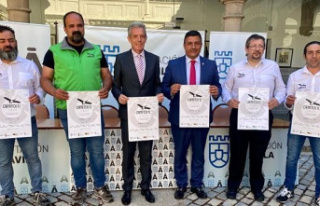 Ornitocyl returns to Ávila from June 17 to 19