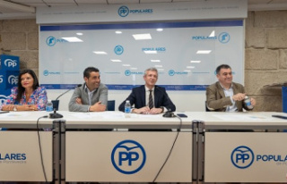 The Pontevedra PP will elect a new provincial leader...