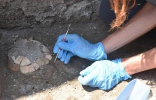 Unusual discovery in Pompeii: a turtle with its egg