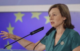 The vice president of the European Commission insists:...