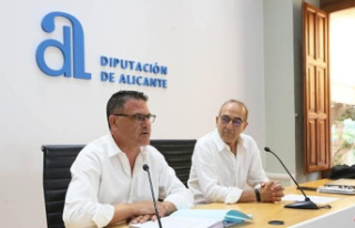 The Diputación de Alicante launches the largest call...