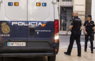 Three arrested in Alicante for manufacturing and distributing...