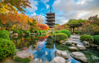 Japan tests a return to tourism
