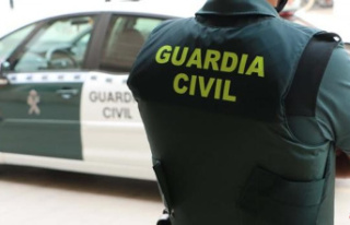 The Civil Guard detains a man for the violent death...