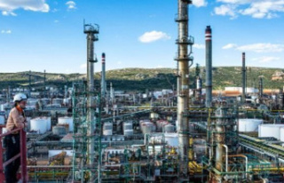 Repsol will invest 105 million in Puertollano to manufacture...