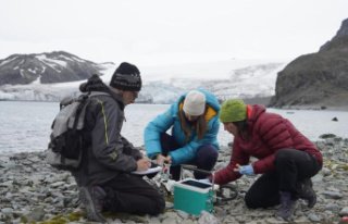Two Basque scientists go on the hunt for Antarctic...