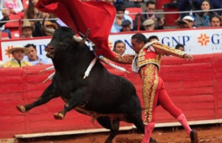 A judge indefinitely prohibits bullfights in Plaza...