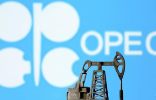 The price of oil rises despite the fact that OPEC...