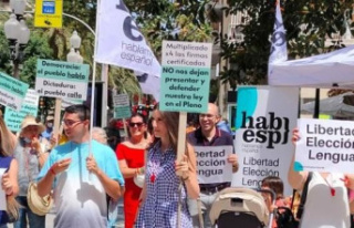We speak Spanish protest against the Table of the...