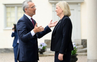 NATO chief: Sweden is ready to address Turkish security...