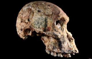 1. Million Years Older Than Thought: Ancient Hominins...