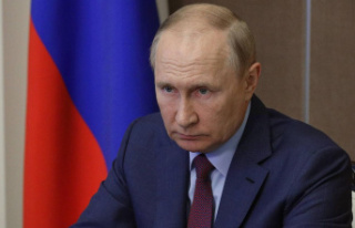 Natural gas: Putin torches Russia's future