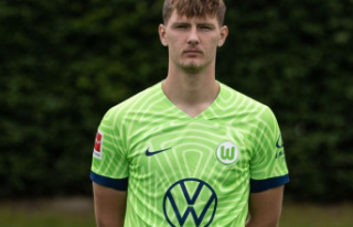 Bundesliga: Loan: Wolfsburg striker Bialek moves to...
