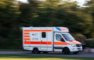 Warendorf: Three seriously injured in a head-on collision