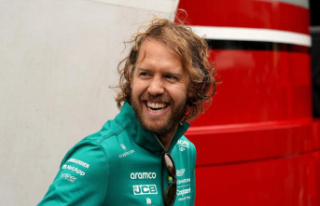 Formula 1: Sebastian Vettel makes fun of TV experts...