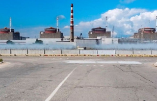 Zaporizhia: IAEA team wants to secure Ukrainian nuclear...