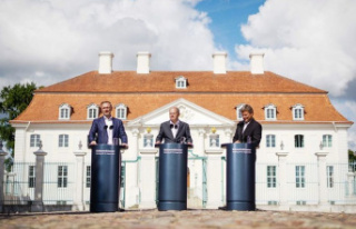 Cabinet retreat: Coalition cure in Meseberg: The stress...