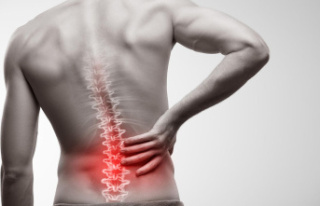 Chronic back pain: How a back support belt is designed...