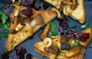 Recipes with mushrooms: Oyster mushrooms that are...