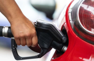 Energy: Petrol station association expects rapid increase...