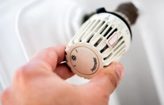 Relief: Study advises heating cost subsidy instead...