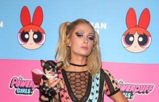 Paris Hilton: Large-scale search for dog Diamond