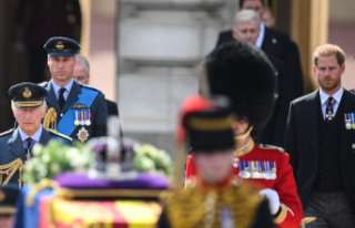 Death of Queen Elizabeth II: William and Harry walk...