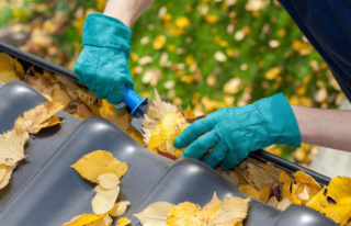 Annoying leaves: If the downpipe is clogged: These...