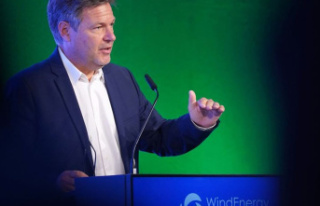 Wind energy: Habeck demands more speed from countries...