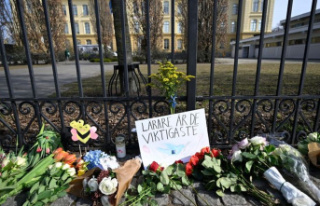 Sweden: Life imprisonment for murder of teachers
