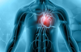 Study: Why heart muscle inflammation can occur after...