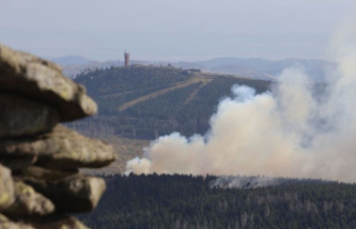 Harz: Another forest fire on the Brocken - all hikers...