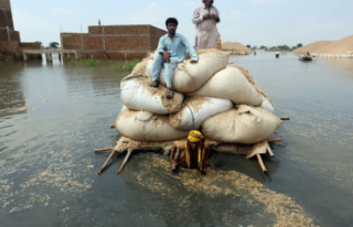 Natural disaster: EU coordinates aid offers for Pakistan...