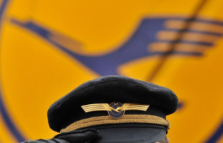 Tariffs: Pilots' strike causes a lull at Lufthansa...