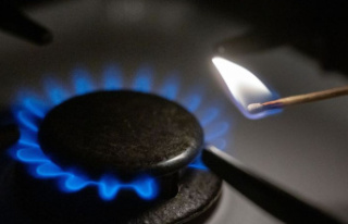 Energy: Gas surcharge wobbles - Habeck has concerns