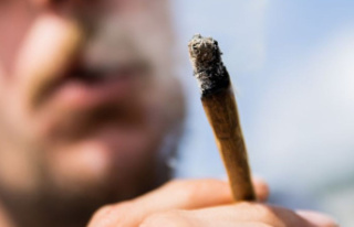 Health: Experts: Cannabis legalization violates EU...