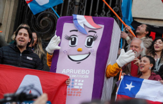 Referendum: Chile is divided: A progressive constitution?...