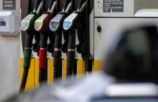 Transport: Fuel is more expensive in Germany than...