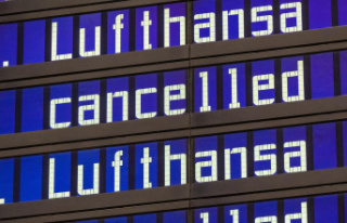 Failed collective bargaining: Lufthansa cancels 800...