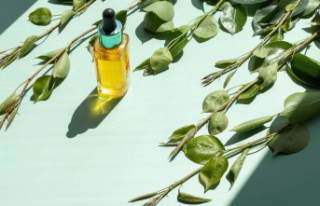 Helpful home remedies: What you can use tea tree oil...